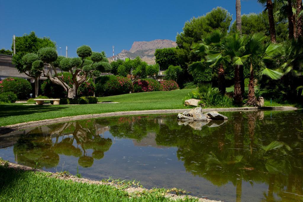 ホテル Jardines De Amaltea ロルカ エクステリア 写真