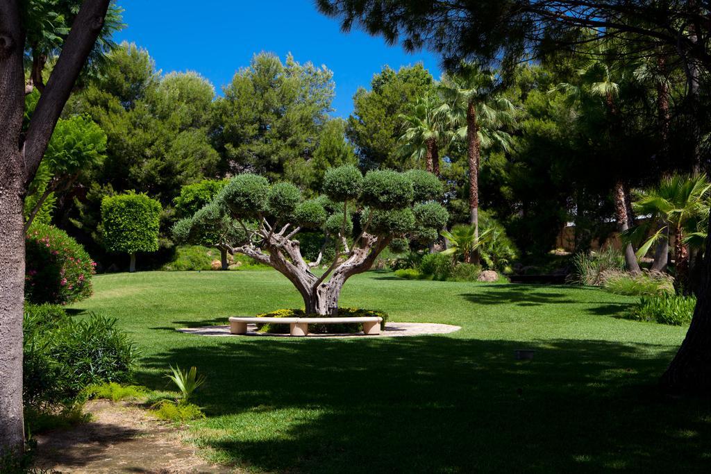 ホテル Jardines De Amaltea ロルカ エクステリア 写真